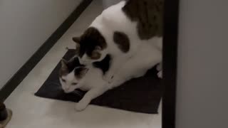 マウントﾆｷ