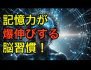 脳科学が教える！記憶力が向上する効果的な勉強法30選