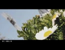 【新年度だから】春に一番近い街【歌ってみた】