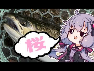 デカいマスを求め再び東古屋湖へやって来た男たちを実況する結月ゆかり【VOICEROIDフィッシング】