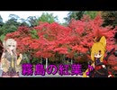 ＮＳ－１で行く！霧島の紅葉♪