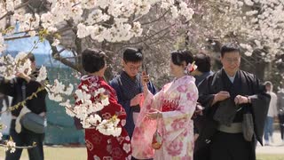 移り変わる「花見スタイル」100年の変化　和服に茶店の桜餅～豪華弁当～カラオケ～オンライン花見まで
