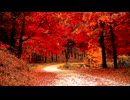 【東方】幻想郷の秋。紅葉。ピアノメドレー【作業用BGM】TOHO