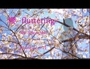櫻 -fluttering- / Mai【SynthV2】