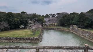 山城しんごの城めぐり　日本100名城　萩城(山口県萩市)