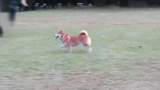 AIで人物を消した結果がホラー