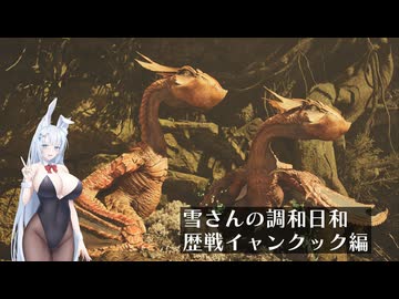 雪さんの調和日和その3（MHWilds）