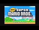 New Super Mario Bros GT Review