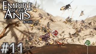 空中戦の王者"スズメバチ"　「EMPIRE OF THE ANTS ～蟻の帝国～」　＃11