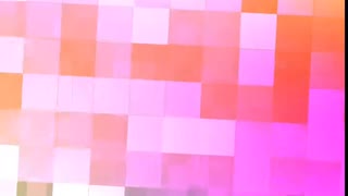多分ギネス記録。