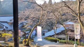 山城しんごの城めぐり　県指定史跡　秋月城(福岡県朝倉市)