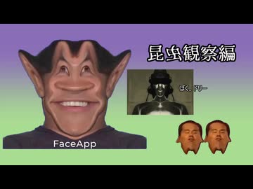 選挙にイク先輩