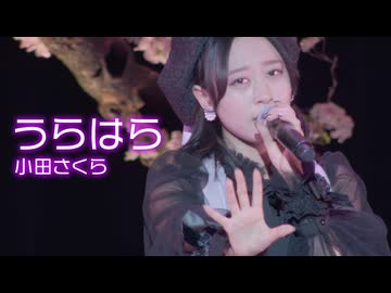 小田さくら『うらはら』 - ニコニコ動画