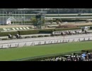 2025/03/29 阪神2R 3歳未勝利 ブラックタロー