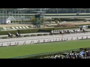 2025/03/29 阪神2R 3歳未勝利 ブラックタロー