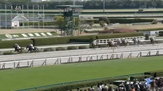 2025/03/29 阪神2R 3歳未勝利 ブラックタロー
