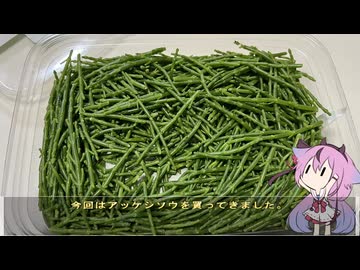珍食材が食べたい！#213 アッケシソウ