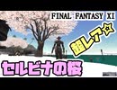 【FF11】ソーティ３日目。ジョブピアスを取るぞぉぉぉ！エイプリルフールの景色も！＿＿カッパのヴァナ・ディール生活
