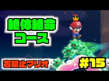 右入力禁止では諦めないといけないコースが出てきまくるワールド3【右禁止ワンダー実況15】