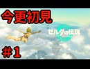 今更初見で遊ぶ【ゼルダの伝説 ティアーズ オブ ザ キングダム】
