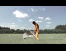 傷ついた野鳥を救わんと手を差し伸べる聖人