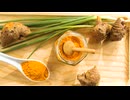 田中鉄也のEating Log｜オーガニックカレー