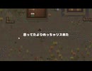 わかってなかったかもしれないrimworld part11