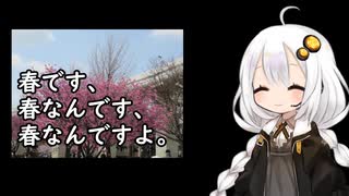 3分間　気たる春や、咲き誇るサクラに思いをはせるあかり嬢