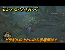 モンハンワイルズ　ピラギルの上ヒレの入手場所は？　武器・防具素材集め入手方法　＃３２４　【モンスターハンターワイルズ】
