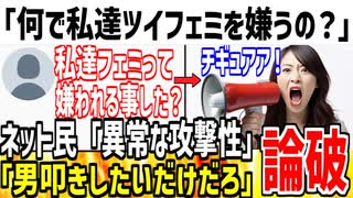 ツイフェミ「私達が嫌われてるのは何でなの？」→相手するのが面倒臭いと正論言われてしまう...