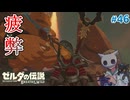 【ゼルダの伝説BotW】初めてのブレワイ！折れない心で未知の世界へ！#46【実況】