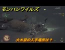 モンハンワイルズ　大水袋の入手場所は？　武器・防具素材集め入手方法　＃３３８　【モンスターハンターワイルズ】