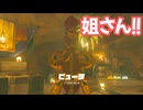 ゼルダの伝説　ティアーズ オブ ザ キングダム　実況プレイPart331