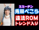兎田ぺこら、『違法ROM』でトレンド入りしたうえにアカウントが違法ROMと紐つけられてしまう【ミミーチン/ぺこーら/ホロライブ/カバー株式会社/VTuber/メルカリ/ふしぎなかいず/やらせ】