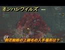 モンハンワイルズ　刺花蜘蛛の上綿毛の入手場所は？　武器・防具素材集め入手方法　＃３４１　【モンスターハンターワイルズ】