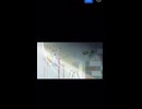 ニコニコ　niconico デイリー