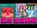 【遊戯王】 オマケ効果が環境に注目される似た者同士 『鎧騎士竜－ナイト・アームド・ドラゴン－』 『暴走魔法陣』  【ゆっくり解説】