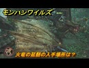 モンハンワイルズ　火竜の延髄の入手場所は？　武器・防具素材集め入手方法　＃３５１　【モンスターハンターワイルズ】