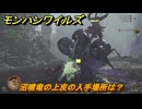 モンハンワイルズ　沼噴竜の上皮の入手場所は？　武器・防具素材集め入手方法　＃３５９　【モンスターハンターワイルズ】
