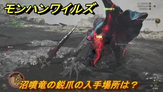 モンハンワイルズ　沼噴竜の鋭爪の入手場所は？　武器・防具素材集め入手方法　＃３６２　【モンスターハンターワイルズ】