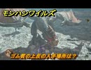 モンハンワイルズ　ゴム質の上皮の入手場所は？　武器・防具素材集め入手方法　＃３６９　【モンスターハンターワイルズ】
