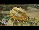 【モンスターハンター ライズ】集会所クエスト Part:10
