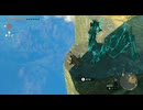 #146【ゼルダの伝説 ティアーズ オブ ザ キングダム】地上絵(龍の泪)探し難航中！