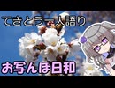 てきとう一人語り　＃４０５
