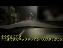 某ニコ生男性配信者「今年の超会議は楽しくなさそうだから行かない」「超会議に行っても、ニコ生でまだkickやってない人は浮くでしょ」「kickに行った人達は、別の高校に行った人達の集まりみたいな感じ」