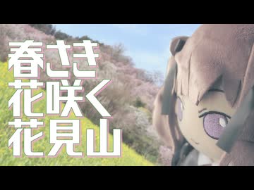 春さき 花咲く 花見山