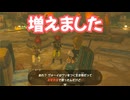 ゼルダの伝説　ティアーズ オブ ザ キングダム　実況プレイPart332