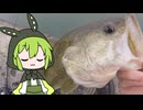 【ソフトウェアトークフィッシング】ずんだもんの釣り9