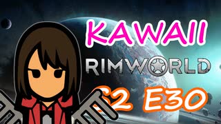 帯域幅パック | 可愛さだけで成り上がる RimWorld Ep.30