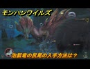 モンハンワイルズ　泡狐竜の尻尾の入手方法は？　武器・防具素材集め入手方法　＃５１５　【モンスターハンターワイルズ】